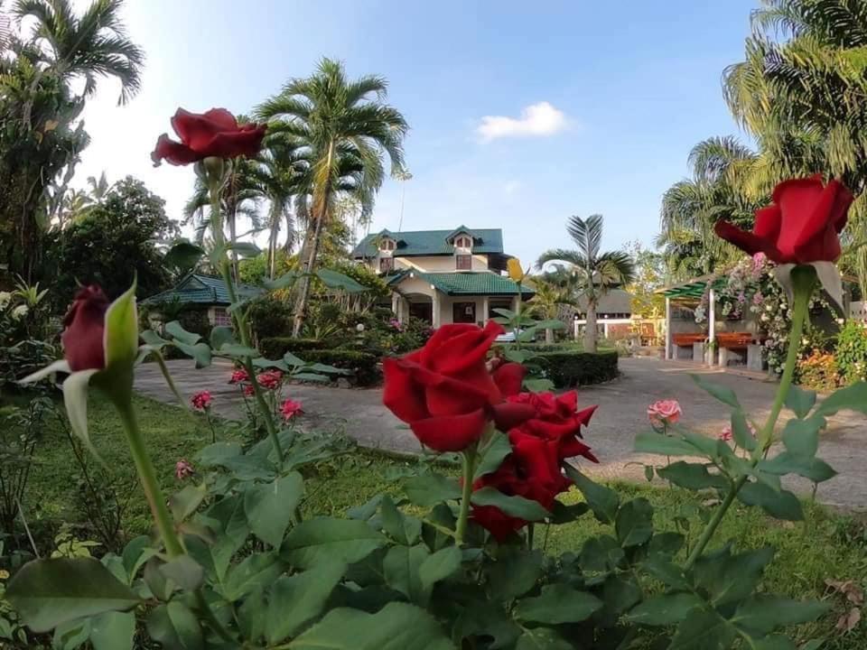 Ekman Garden Resort Сичон Экстерьер фото